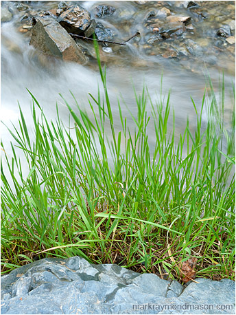 Fine art photograph of green grasses layered against flowing water, boulders, and angled river rocks