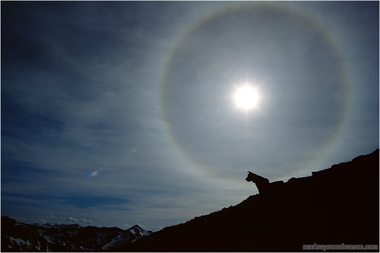 Sundog: Stein Wilderness, BC, Canada (2002-00-00) - Lifestyle photo showing the silhouette of a dog against a dramatic solar halo and distant mountain ranges