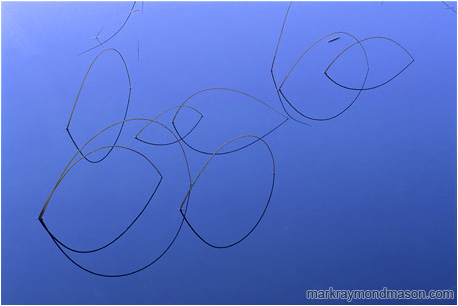 Abstract nature photograph of reeds and their reflections forming rings in pure blue water