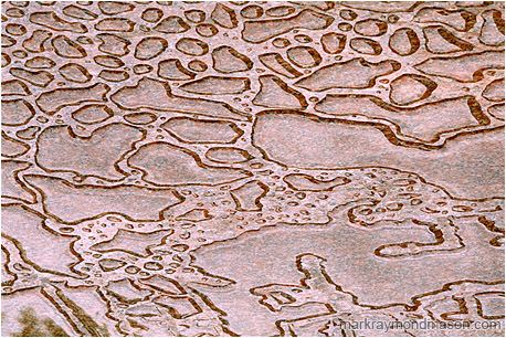 Abstract photograph of beaded water on the surface of a red marble slab