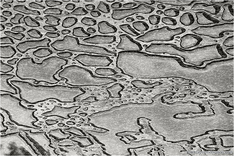 Water, Marble (B&W): Vancouver, BC, Canada (2003-00-00) - Abstract black and white photograph of water droplets forming abstract shapes on a polished marble slab
