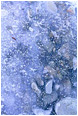 View This Photograph Snow Dusted Ice: Near Princeton, BC