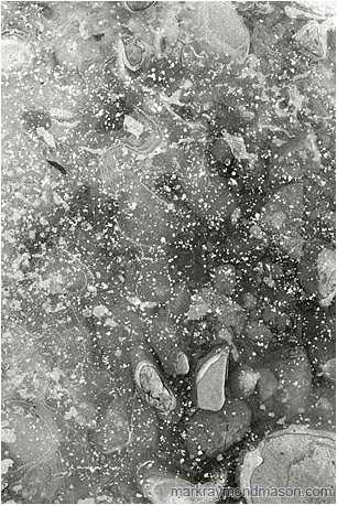 Abstract black and white photograph of dusted snow covering an icy pool of rocks and leaves