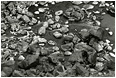 Coloured Rocks, River, Dry Grass (B&W): Smith Rocks, OR
