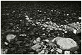 View This Photograph Flat Water, Rocks (B&W): Near Manning Park, BC