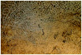 View This Photograph Scratched Pan: Princeton, BC