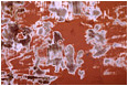 Scrubbed Orange Wall: Calgary, AB Scrubbed Orange Wall: Calgary, AB