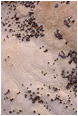 View This Photograph Coloured Rocks, Muddy Wash: Near Drumheller, AB