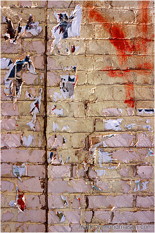 Abstract photograph of sunlit scraps of paper on a garishly painted brick wall
