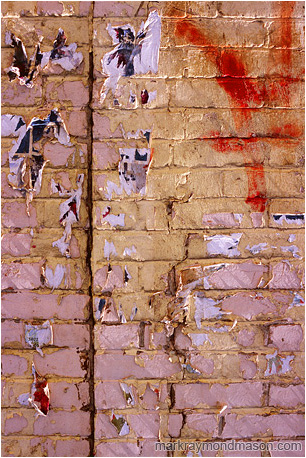 Abstract photograph of sunlit scraps of paper on a garishly painted brick wall