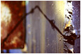 Barbed Wire, Shadow, Highlights: Vancouver, BC