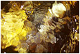 View This Photograph Tortoise-shell Water: Kananaskis Country, AB