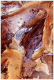 View This Photograph Burnt Plaster, Paper: Calgary, AB