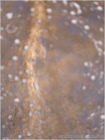 Abstract photograph showing the distorted outline of a tree and white foam in a puddle