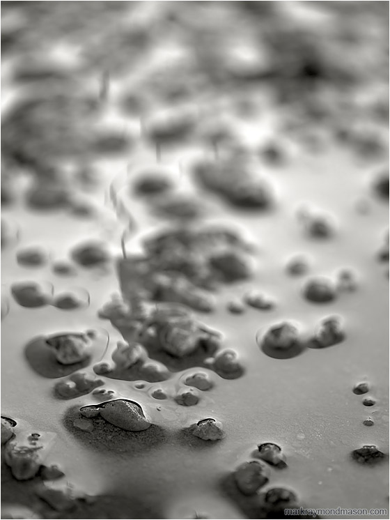 Winter Gravel, Highlights (B&W): Calgary, AB, Canada (2010-03-06) - Abstract black and white photograph of tiny pebbles, a thin sheen of water, and out-of-focus highlights
