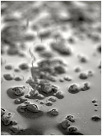 Winter Gravel, Highlights (B&W): Calgary, AB, Canada (2010) - Abstract black and white photograph of tiny pebbles, a thin sheen of water, and out-of-focus highlights