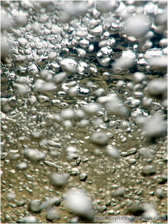 Abstract photograph of clusters of shiny bubbles and green creek water in a mountain stream