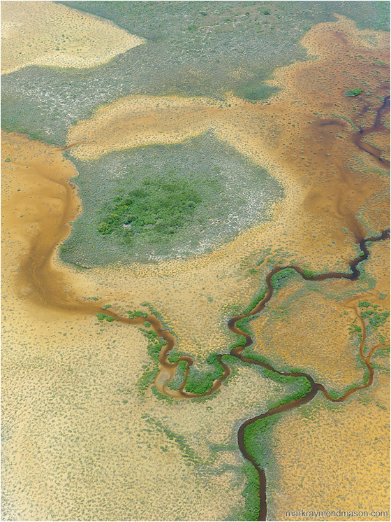 Twisting River, Marsh: Over San Pedro, Belize (2010-05-21) - Abstact aerial photograph showing a river twisting through an orange marshy landscape