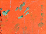 Orange Wall, Smudged Paint: Cozumel, Mexico (2010) - Abstract urban photograph showing smudges of grey paint on a crumbling orange concrete wall