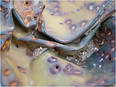 Abstract photo showing fold lines and shotgun damage to a rusted antique metal can