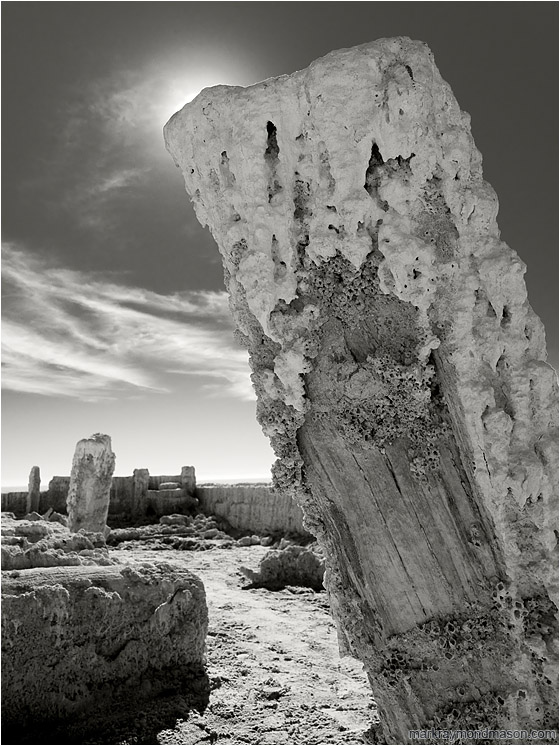 Two Salted Pillars (B&W): Salton Sea, CA, USA (2011-12-29) - Fine art B&W photograph showing bridge piers crusted in salt and barnacles against a dramatic cloudy sky