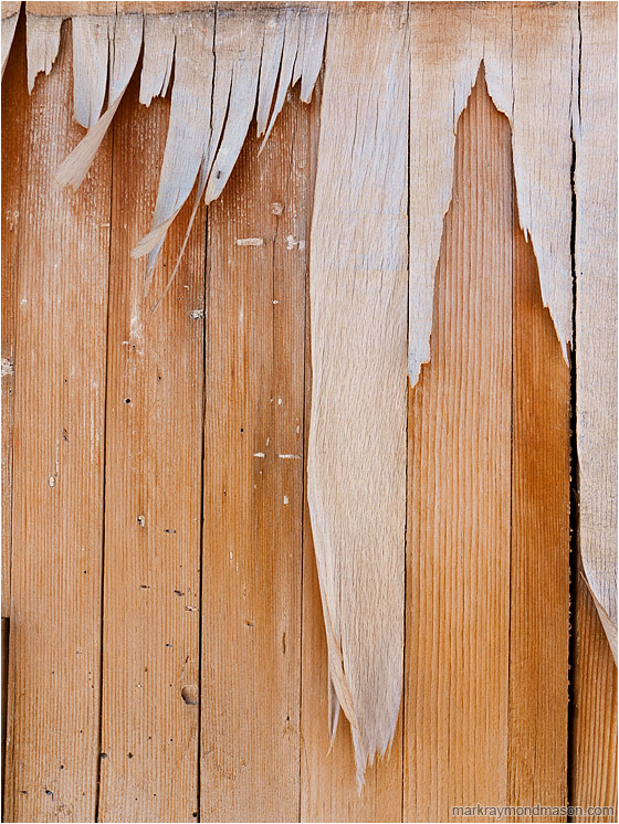 Marked Wood, Hanging Paper: Bombay Beach, CA, USA (2012-01-01) - Abstract photograph showing paper fibres hanging like icicles from a pockmarked wooden wall