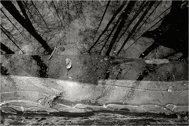 Leaf, Ice, Reflections (B&W): Squamish, BC, Canada (2001-00-00) - Abstract black and white photograph of a partly frozen pool of water, floating leaves, and reflections of the forest and sky