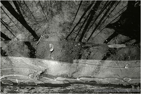 Abstract black and white photograph of a partly frozen pool of water, floating leaves, and reflections of the forest and sky