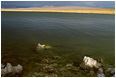 View This Photograph Lake Rocks, Arching Horizon: Mono Lake, CA