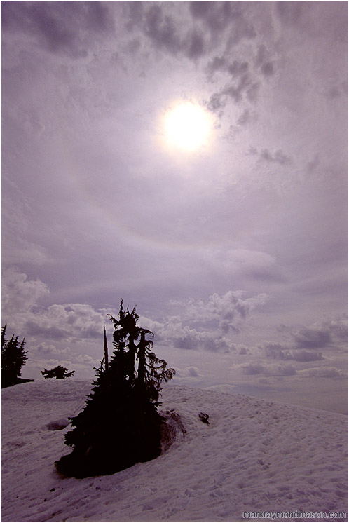 Sun, Clouds, Snow: Near Elfin Lakes, BC, Canada (2002-00-00) - Fine art photograph of an eclipsed sun, swirling clouds, and trees in the snow
