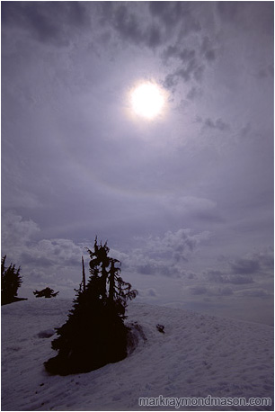 Fine art photograph of an eclipsed sun, swirling clouds, and trees in the snow