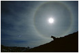 View This Photograph Sundog: Stein Wilderness, BC