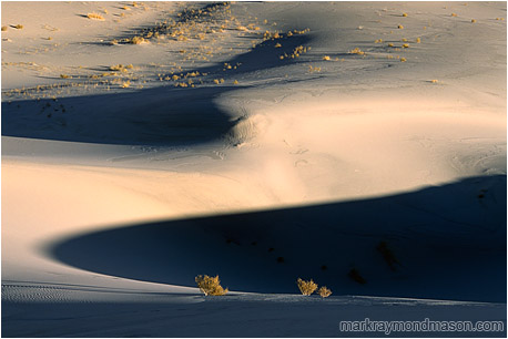 Abstract photograph of sand dunes and wild desert shadows