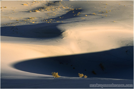 Abstract photograph of sand dunes and wild desert shadows