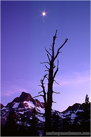 Fine art nature photograph of a brilliant moon above the outline of an old snag with mountains and forests in the backgound