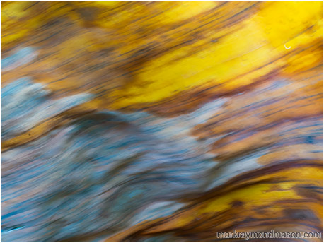 Abstract photograph showing a blurry, moving colourful palm leaf, waving in the wind through a long exposure