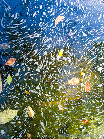 Abstract photograph showing foam swirling amidst leaves on the colourful surface of a mountain creek