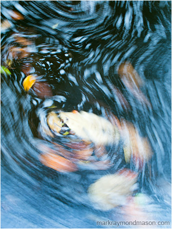 Abstract impressionist photo showing the blurry paths of leaves as they circle in the dark water of a mountain creek