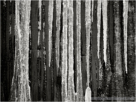 Fine art black and white photo of white icicles flowing down a dark, charcoal coloured concrete wall
