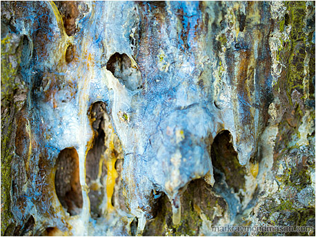 Fine art macro photograph showing textures and colours in a mass of hardened pine sap