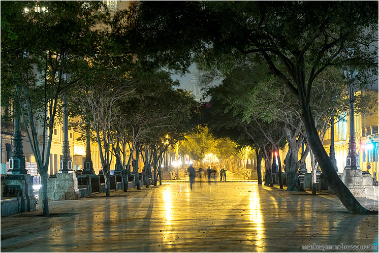 Paseo del Prado, El Capitolio: Havana, Cuba (2017-02-14) - Fine art photo showing the popular Paseo del Prado at night, with blurry walking figures, shiny concrete, and the Capitol building through a gap in the trees