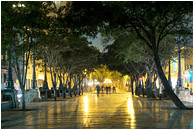 Paseo del Prado, El Capitolio: Havana, Cuba (2017) - Fine art photo showing the popular Paseo del Prado at night, with blurry walking figures, shiny concrete, and the Capitol building through a gap in the trees