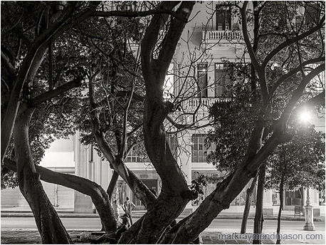 Fine art black and white photograph showing men on the street at night beneath the straight concrete walls and intertwined branches of downtown Havana