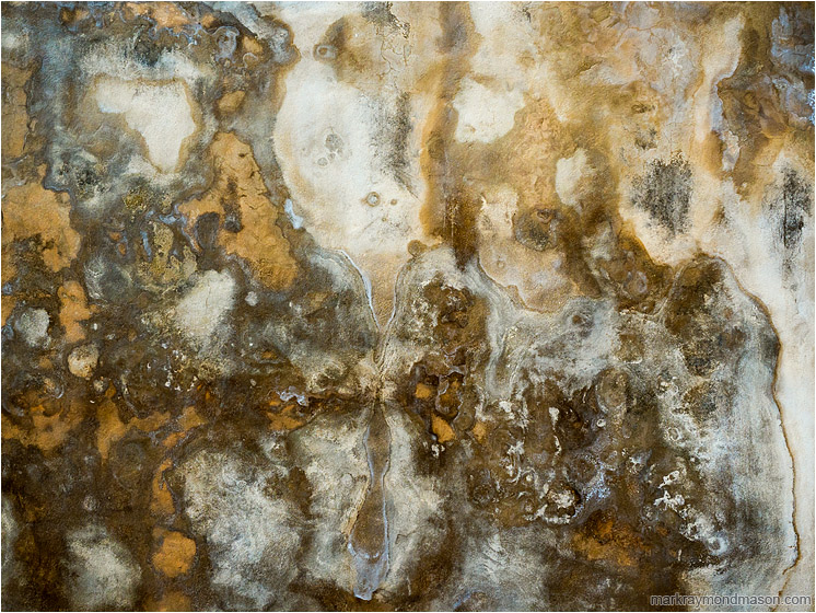 Stained Wall, Symmetry: Matanzas, Cuba (2017-02-27) - Abstract photograph showing heavy staining in a concrete seawall, spreading and mirroring itself like an inkblot paper
