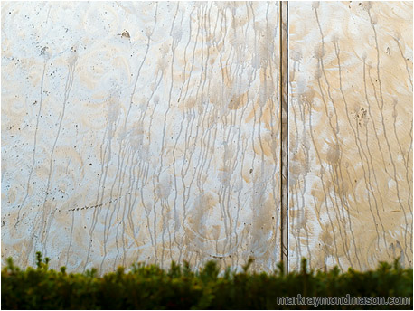 Fine art photograph of stains and streaks on a stainless steel wall plate, with an out-of-focus hedge in the foreground